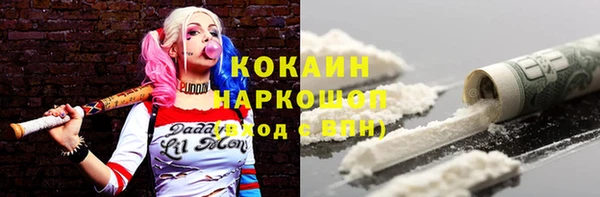спайс Богданович