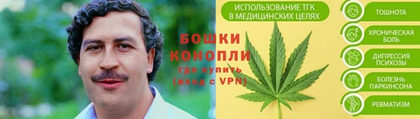спайс Богданович